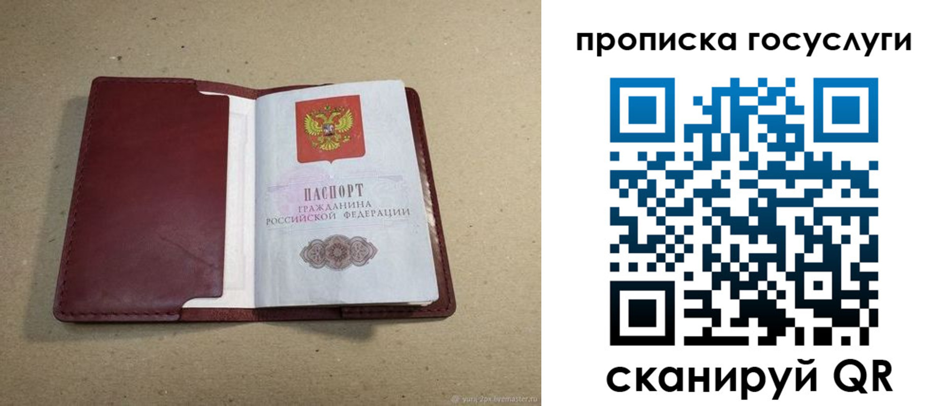 прописка поиск в Дятьково